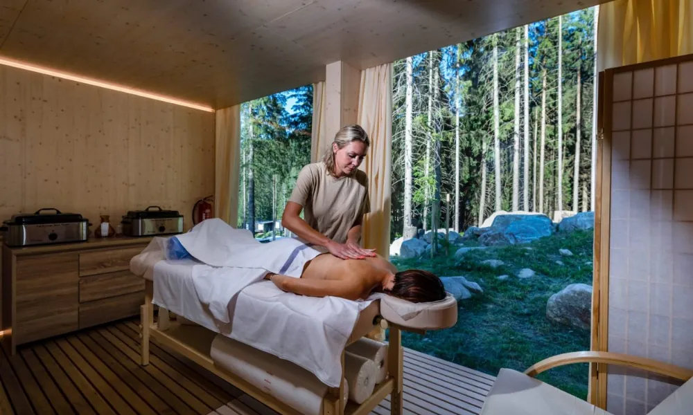 Wellness