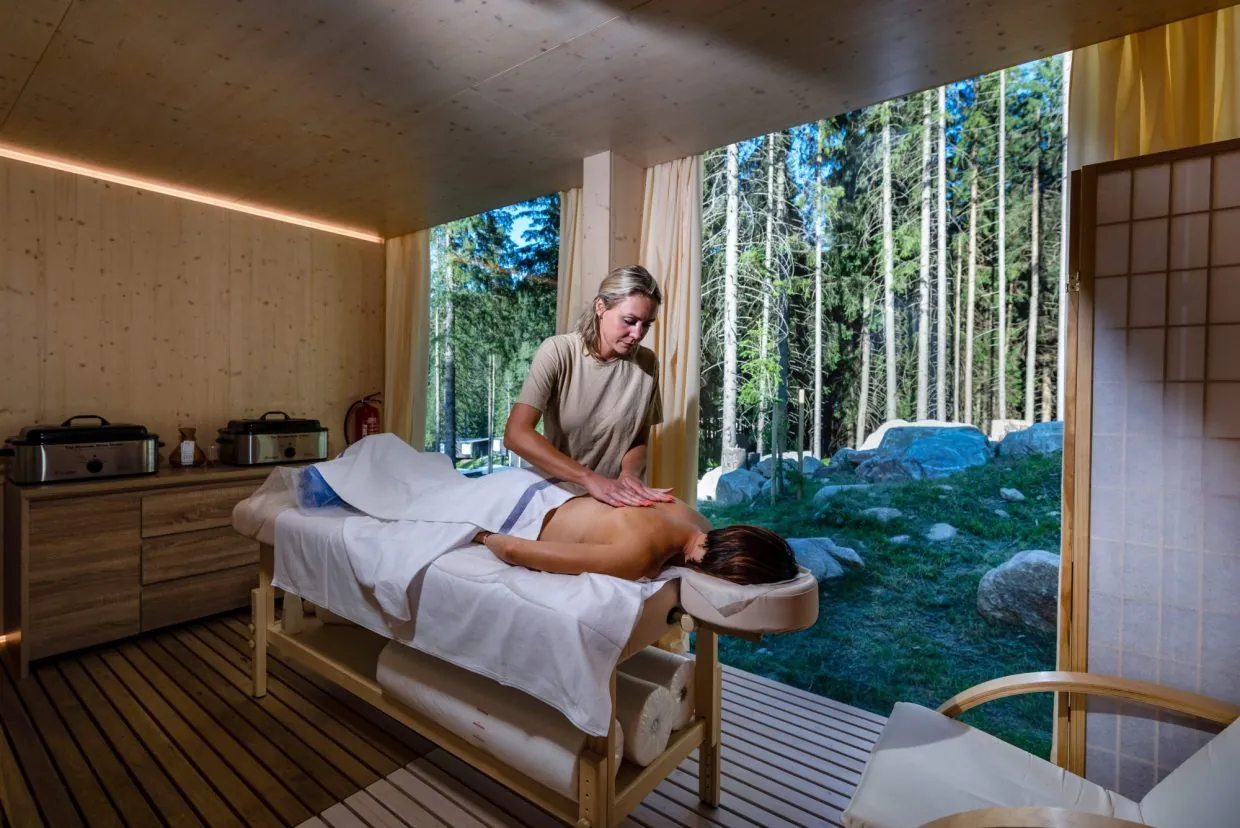 Wellness Image